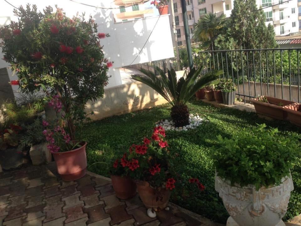 Vila Floban & Mirdar Koshi Sarande Exterior photo